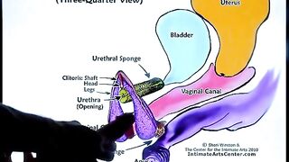 Squirting Tutorial 2 by Mr PussyLicking, featuring explosive orgasms and intense passion