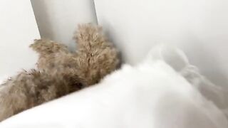 Curvy girl gets her pussy wet and smelly, attracting a horny guy