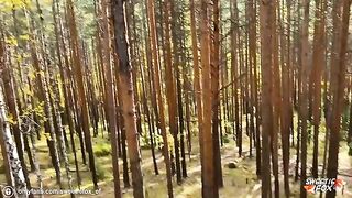Girl was fucked in public by a guy with a big cock in the forest
