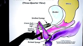How to squirt? The ultimate guide by Mr PussyLicking!