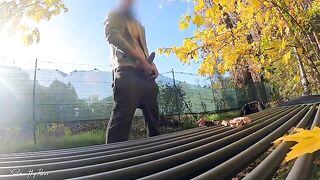 A guy made a dick flash in the park and a MILF gave him a titty fuck