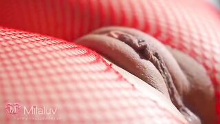 A close-up view of what Honey loves, showcasing her passion in every frame