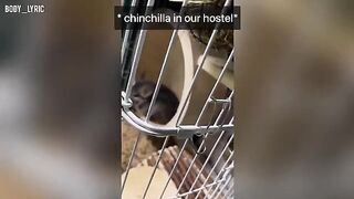 A journey to the big city and a steamy hostel encounter