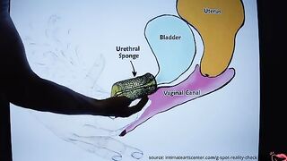 The best tutorial on how to squirt like a pro, assuring satisfaction