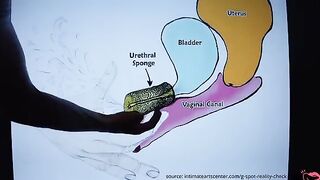 The best tutorial on how to squirt like a pro, assuring satisfaction