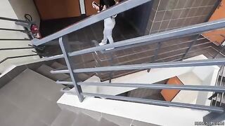 Ffm threesome with hot chilean model and agents