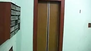 Appetizing girl came to her brother for a blowjob