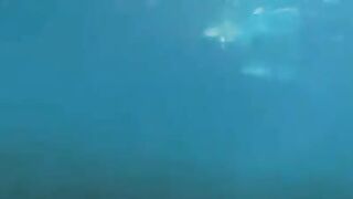 Two aqualangists have sex right in the water