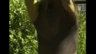 A man plays with his big dick in the hayloft