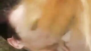 Skinny teen made a blowjob in the park to earn money