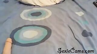 Toying with a dildo in front of the webcam live stream
