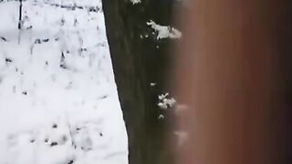 A couple tried to freeze time, but the guy’s dick and her pussy weren’t frozen