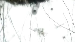 Winter blowjob on the street, girl in stockings gets fucked hard by a guy