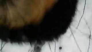 Winter blowjob on the street, girl in stockings gets fucked hard by a guy