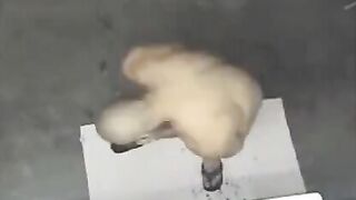 Nude man caught on camera in the shower