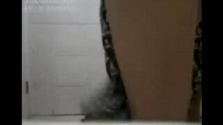 Asian sex with the help of porn rollers by Chinese beauties