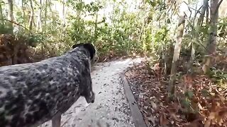A man has sex with his girlfriend in a risky outdoor spot